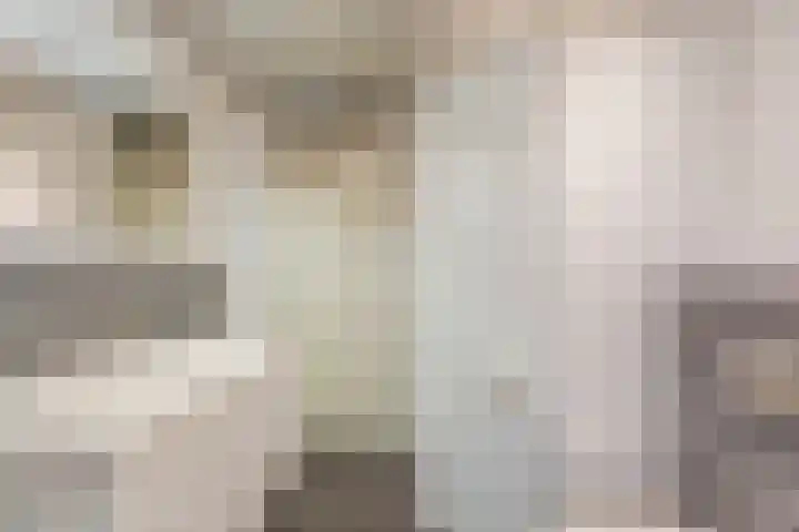 Mosterdveld 7 Veghel thumbnail 34