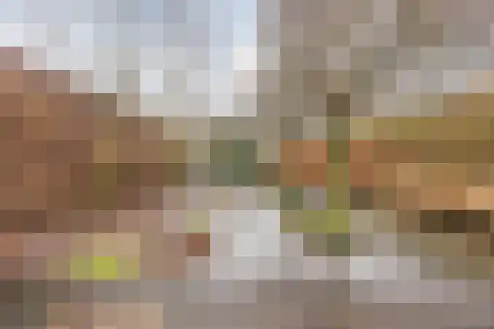 Mosterdveld 7 Veghel thumbnail 42