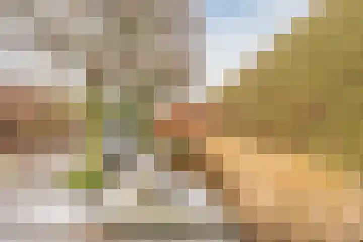 Mosterdveld 7 Veghel thumbnail 43