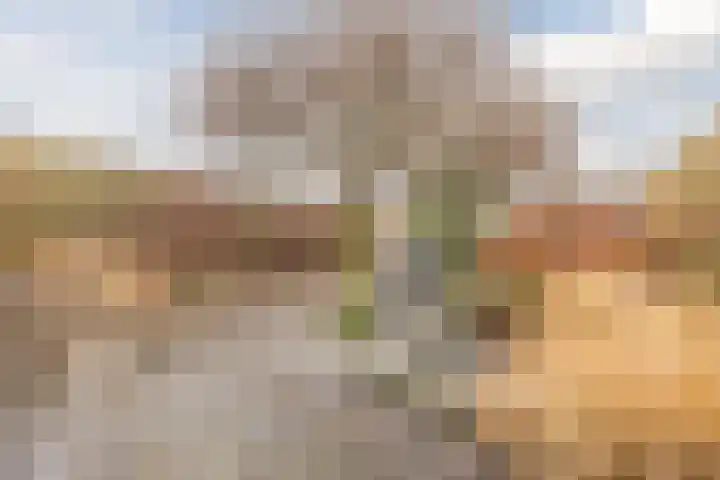 Mosterdveld 7 Veghel thumbnail 44