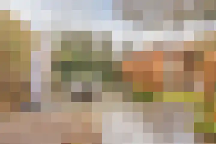 Mosterdveld 7 Veghel thumbnail 45