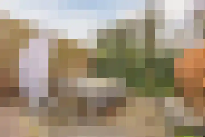 Mosterdveld 7 Veghel thumbnail 46