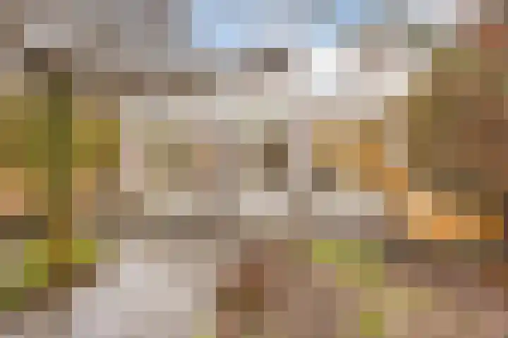 Mosterdveld 7 Veghel thumbnail 48