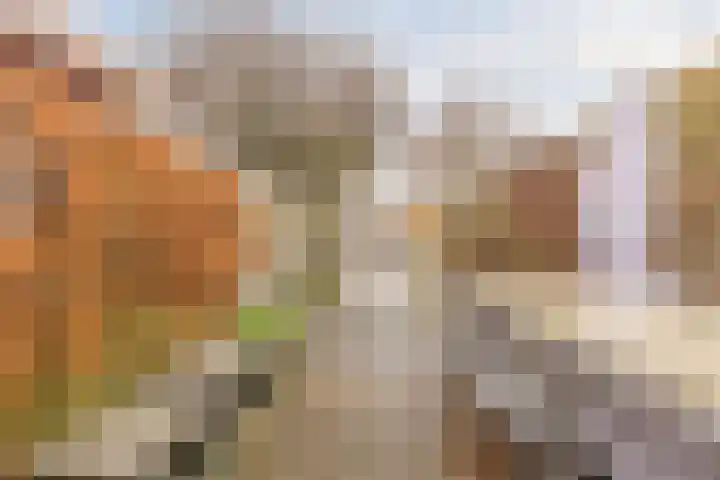 Mosterdveld 7 Veghel thumbnail 50