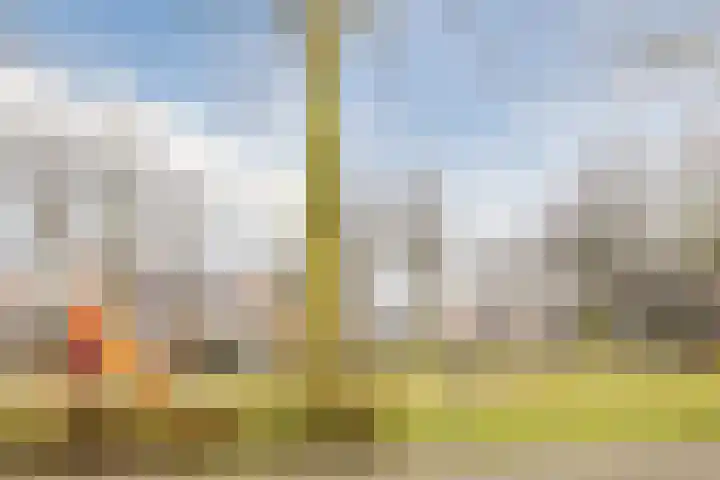 Mosterdveld 7 Veghel thumbnail 51