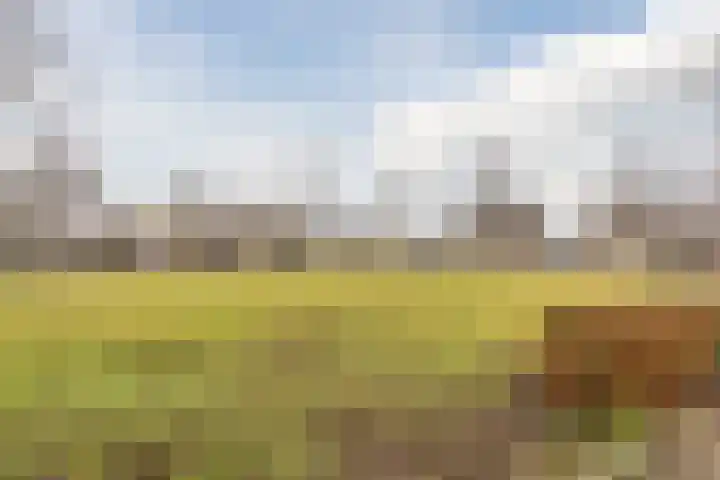 Mosterdveld 7 Veghel thumbnail 52