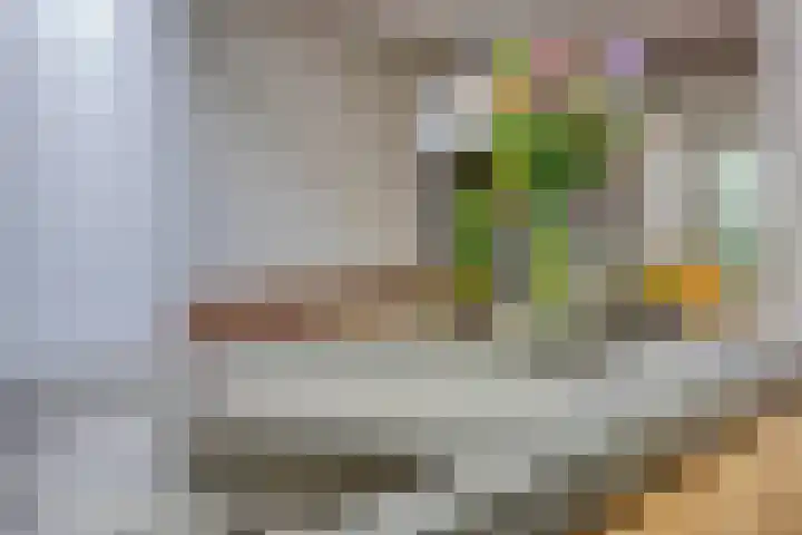 Mostheuvelstraat 105 Tilburg thumbnail 15