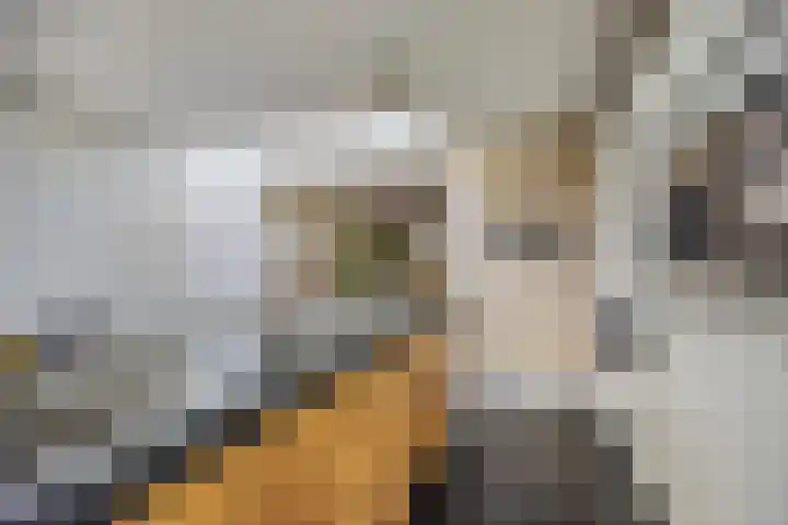 Mostheuvelstraat 105 Tilburg thumbnail 16