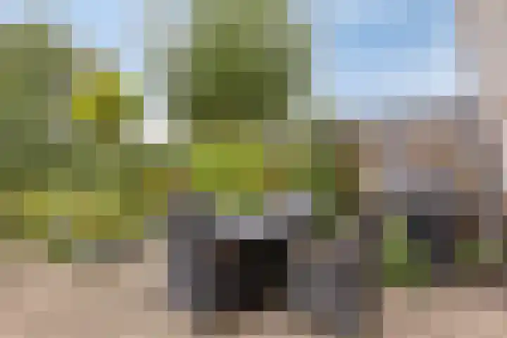 Mostheuvelstraat 119 Tilburg thumbnail 35