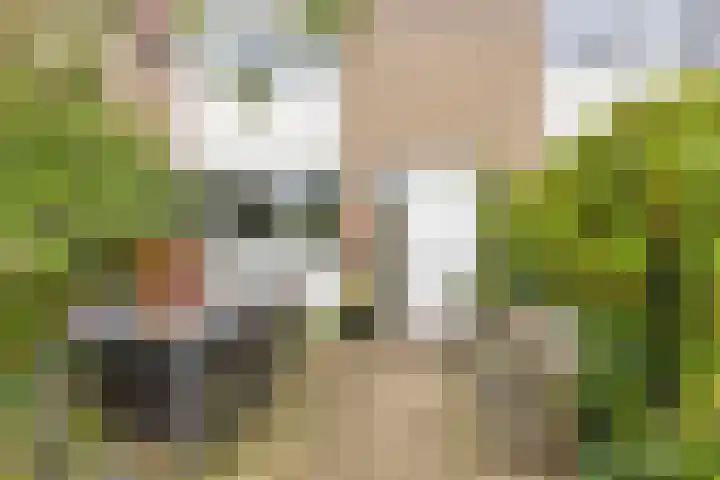 Mostheuvelstraat 119 Tilburg thumbnail 9