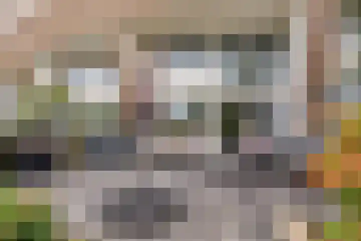 Mostheuvelstraat 45 Tilburg thumbnail 38