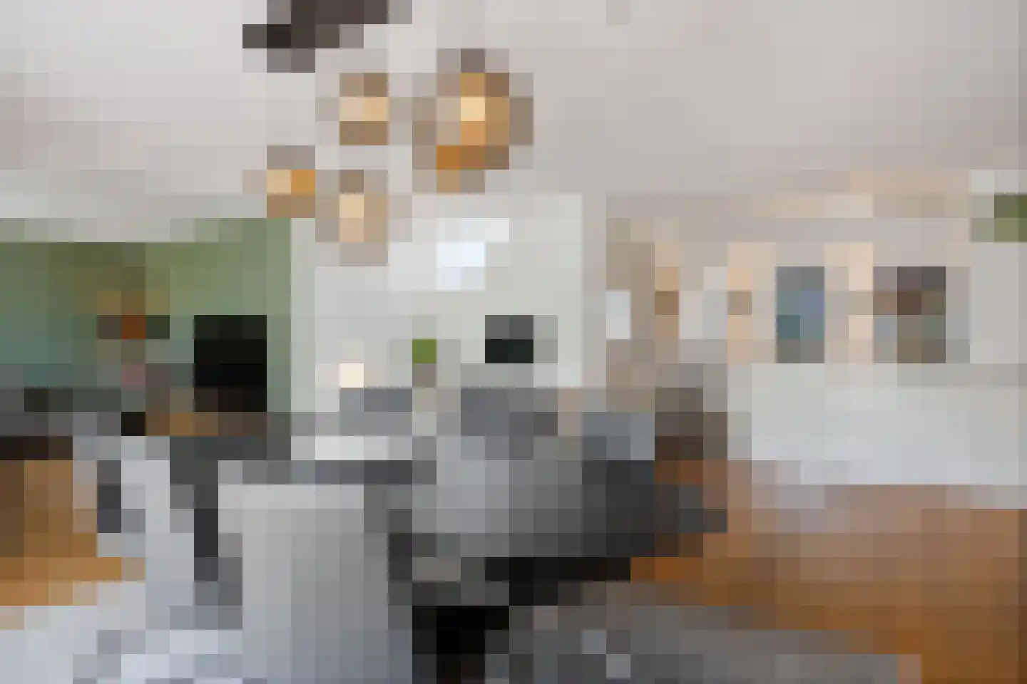 Mostheuvelstraat 62 Tilburg thumbnail 20