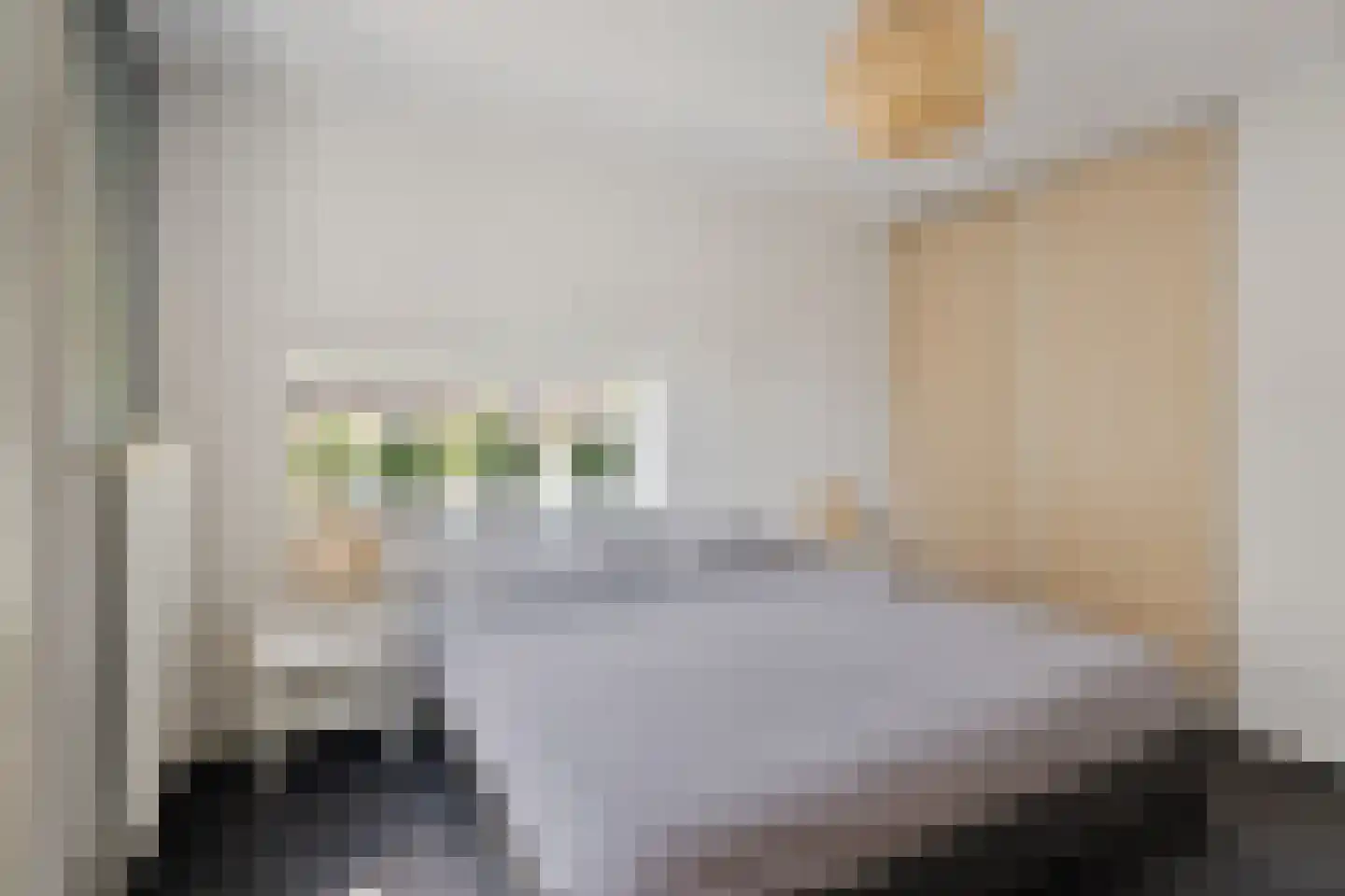 Mostheuvelstraat 62 Tilburg thumbnail 32
