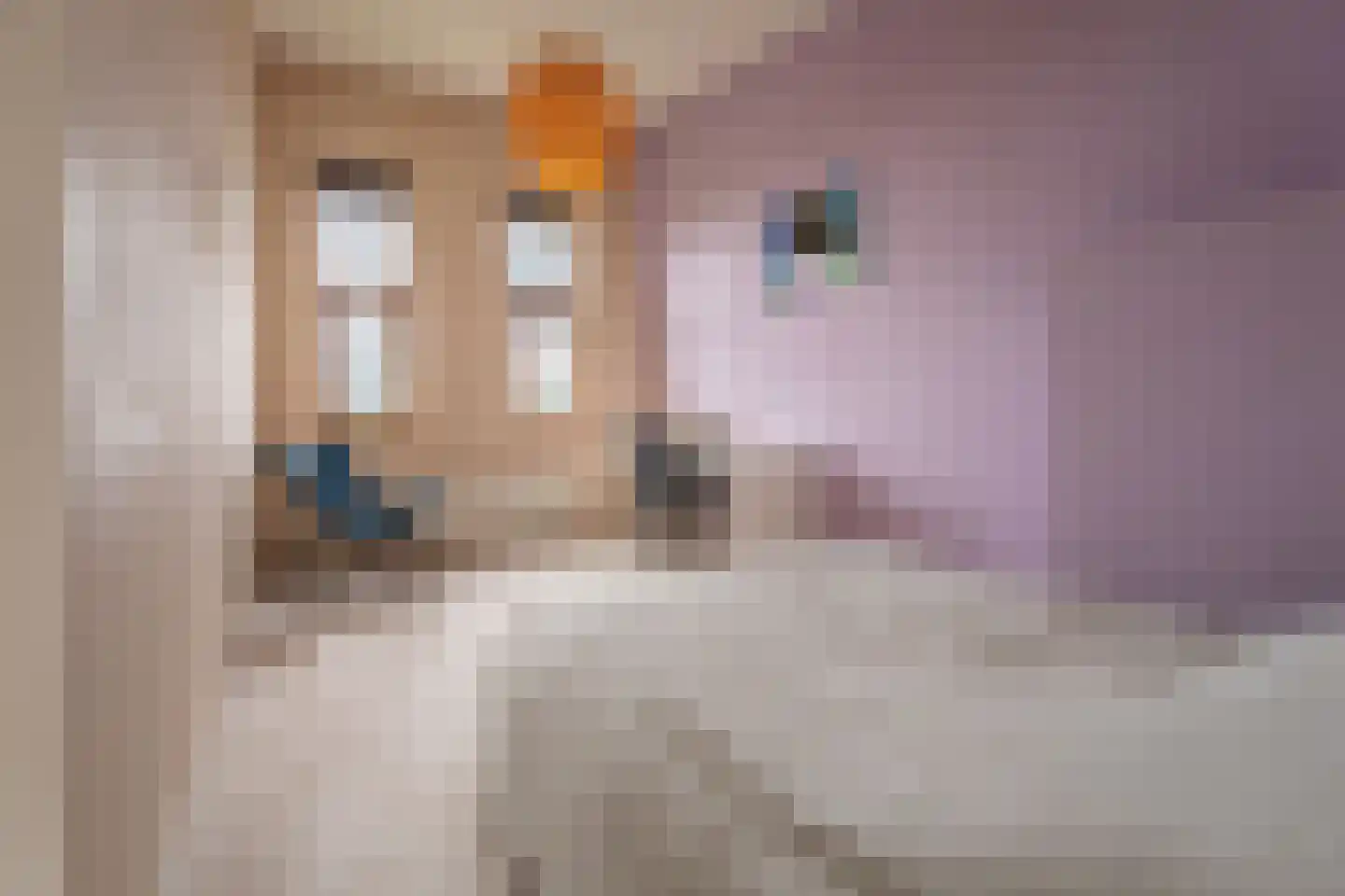 Mostheuvelstraat 63 Tilburg thumbnail 36