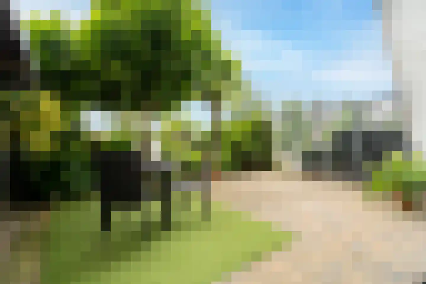 Mostheuvelstraat 63 Tilburg thumbnail 38