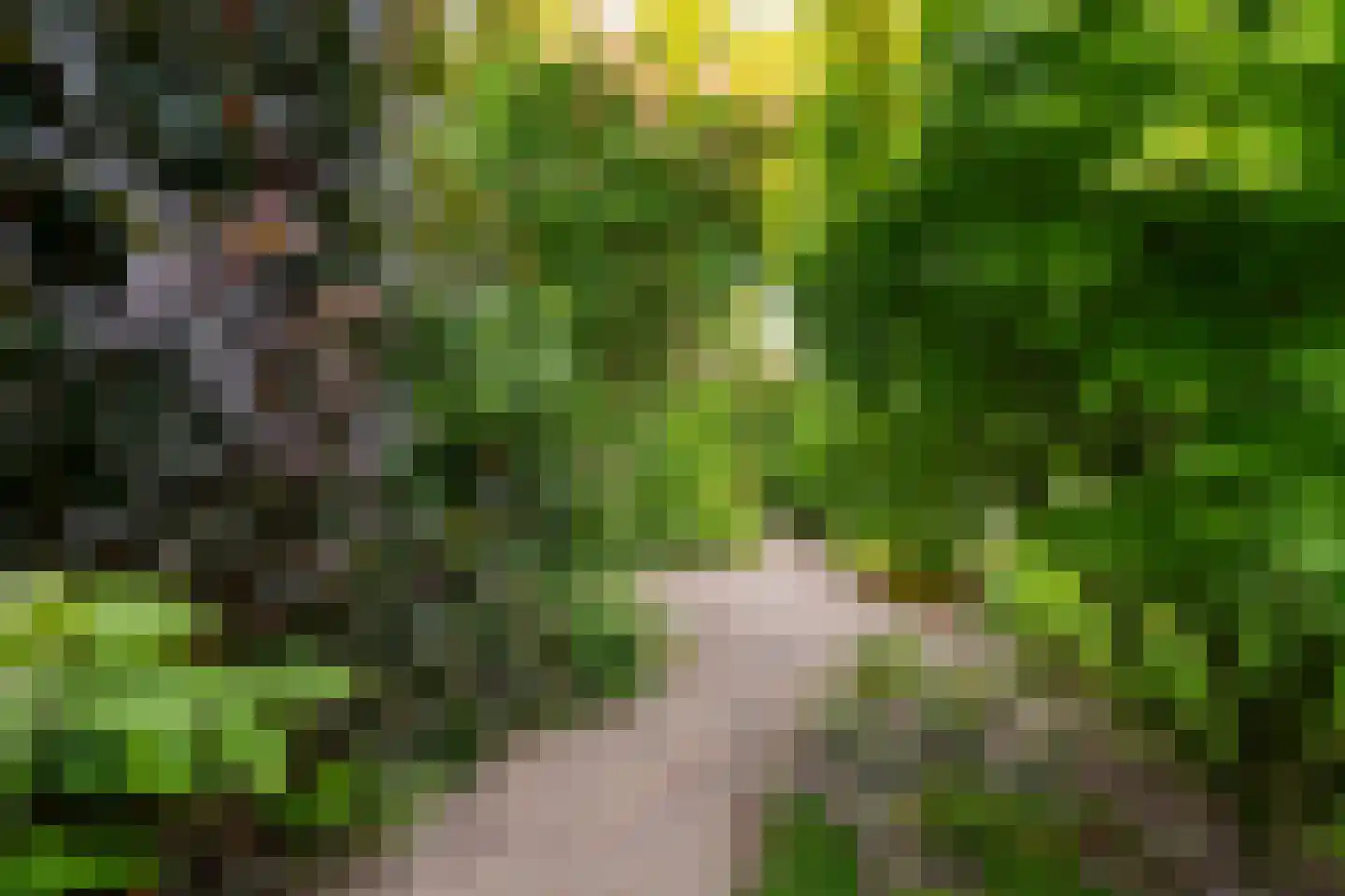 Mostheuvelstraat 63 Tilburg thumbnail 5