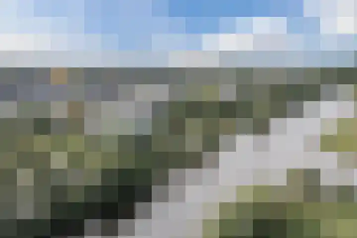 Mostheuvelstraat 65 Tilburg thumbnail 38