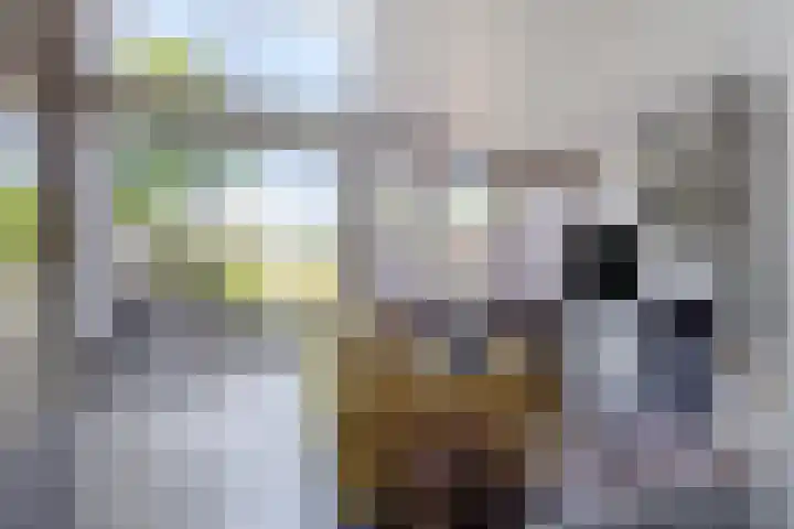 Mostheuvelstraat 65 Tilburg thumbnail 8