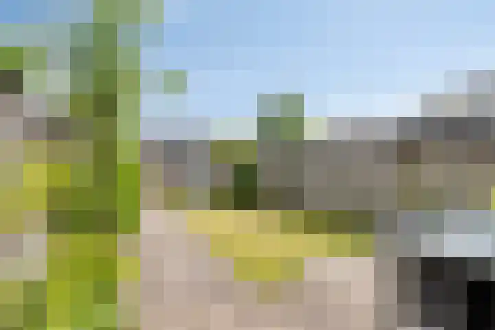 Mostheuvelstraat 69 Tilburg thumbnail 11