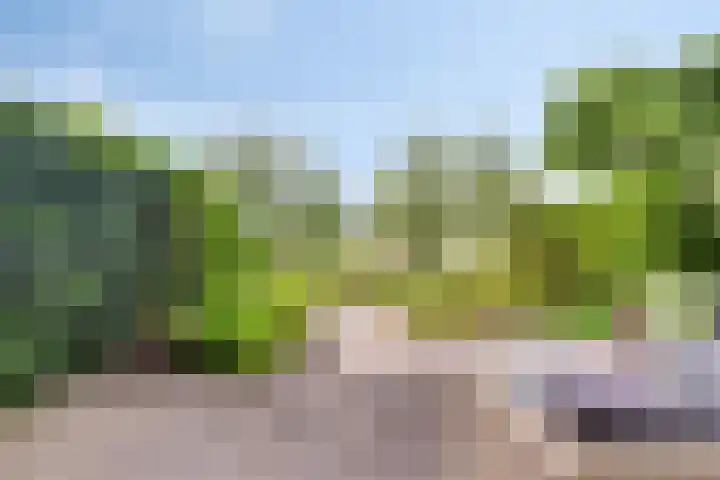 Mostheuvelstraat 69 Tilburg thumbnail 39