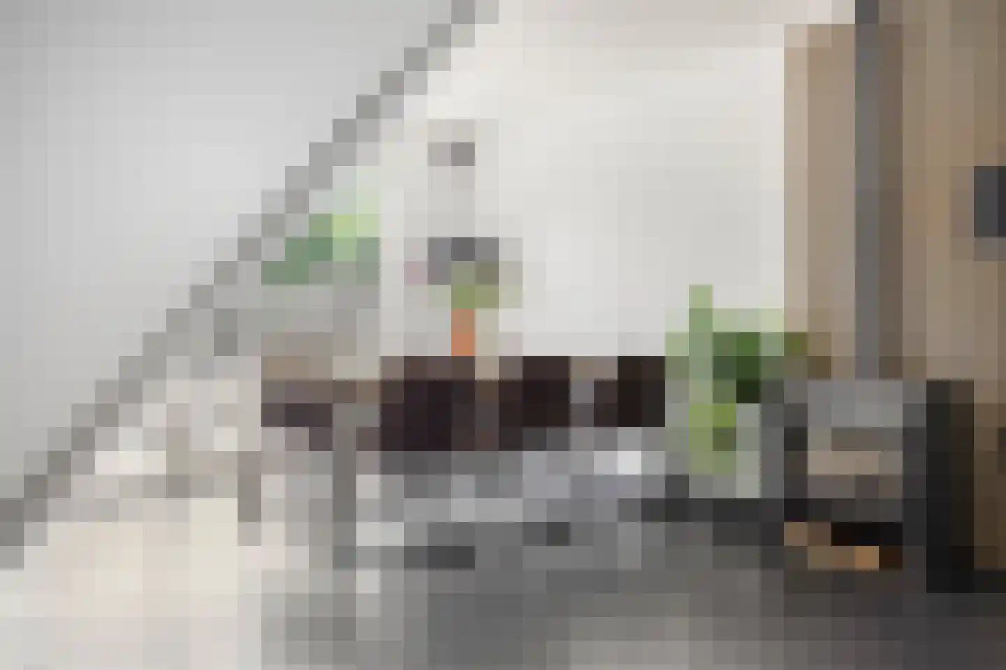 Mostheuvelstraat 8 Tilburg thumbnail 11