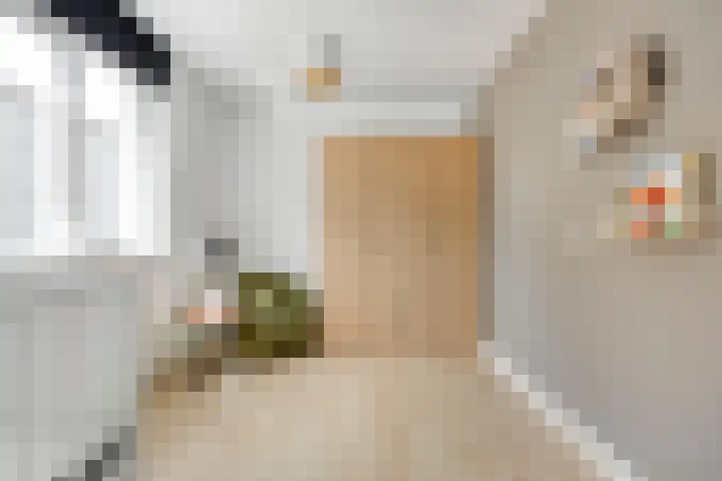 Mostheuvelstraat 8 Tilburg thumbnail 31