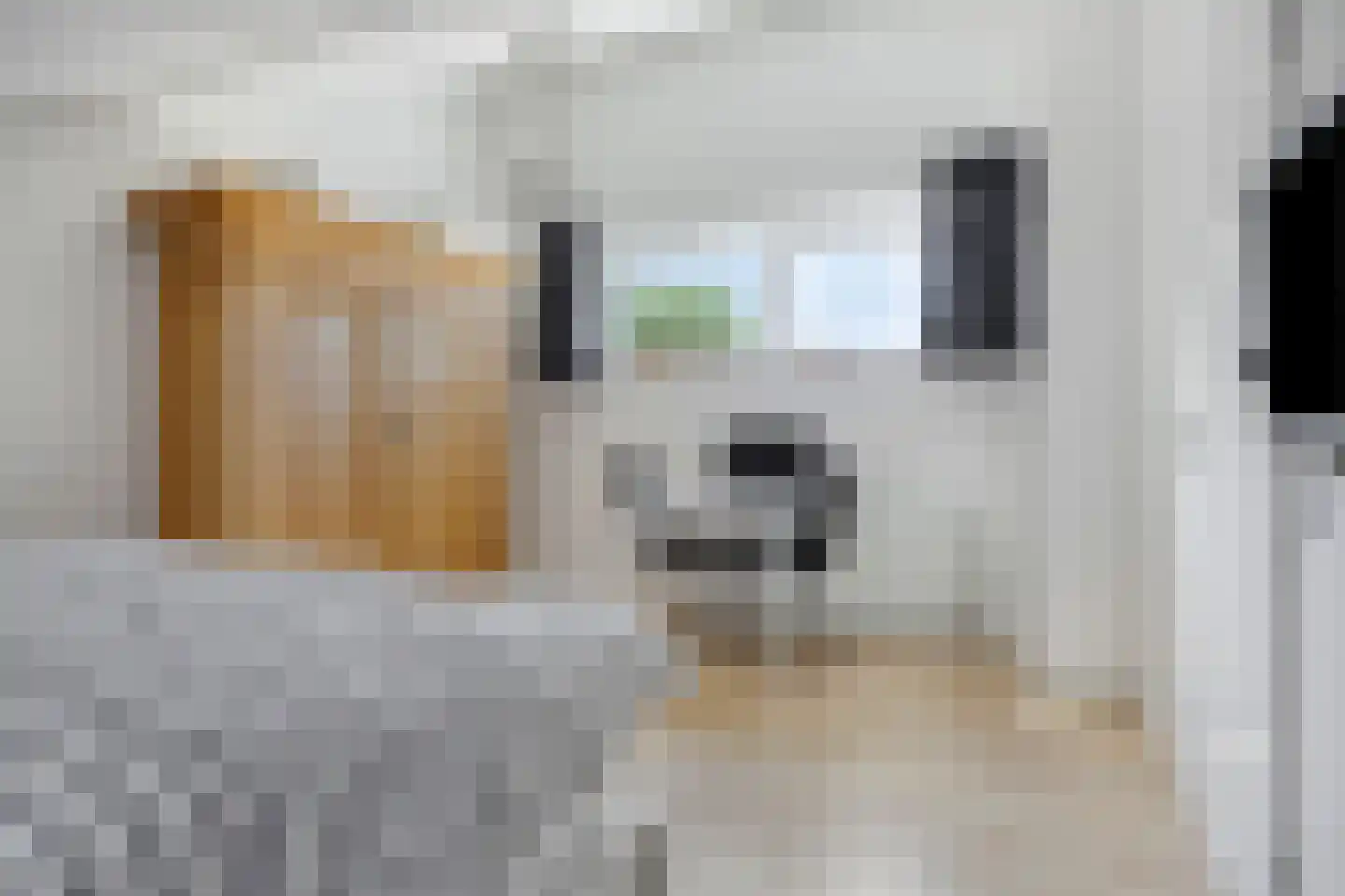 Mostheuvelstraat 8 Tilburg thumbnail 36