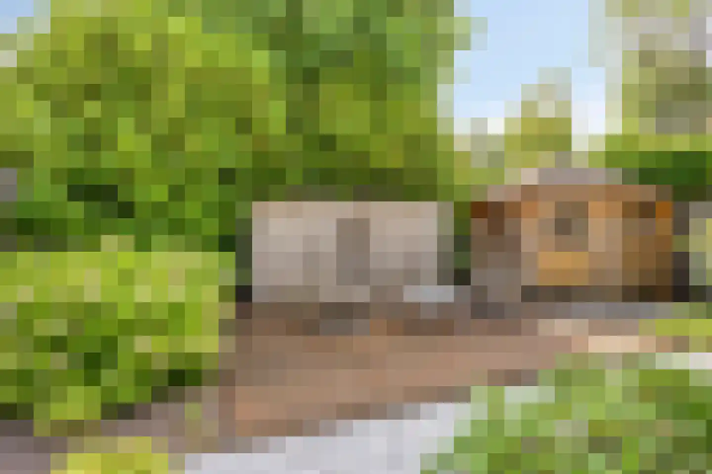Mostheuvelstraat 8 Tilburg thumbnail 46