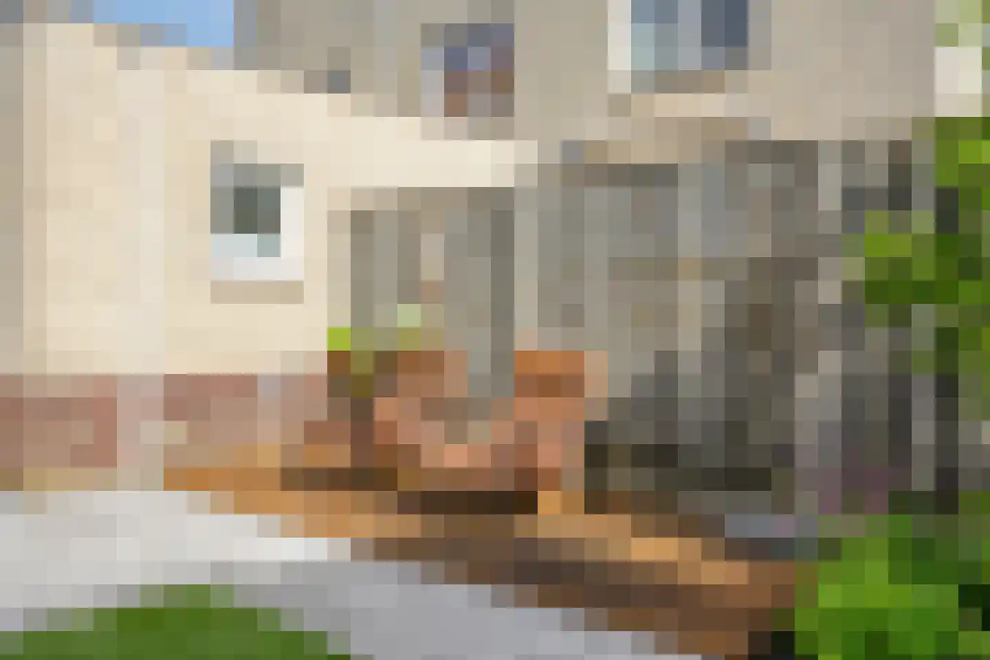 Mostheuvelstraat 8 Tilburg thumbnail 49