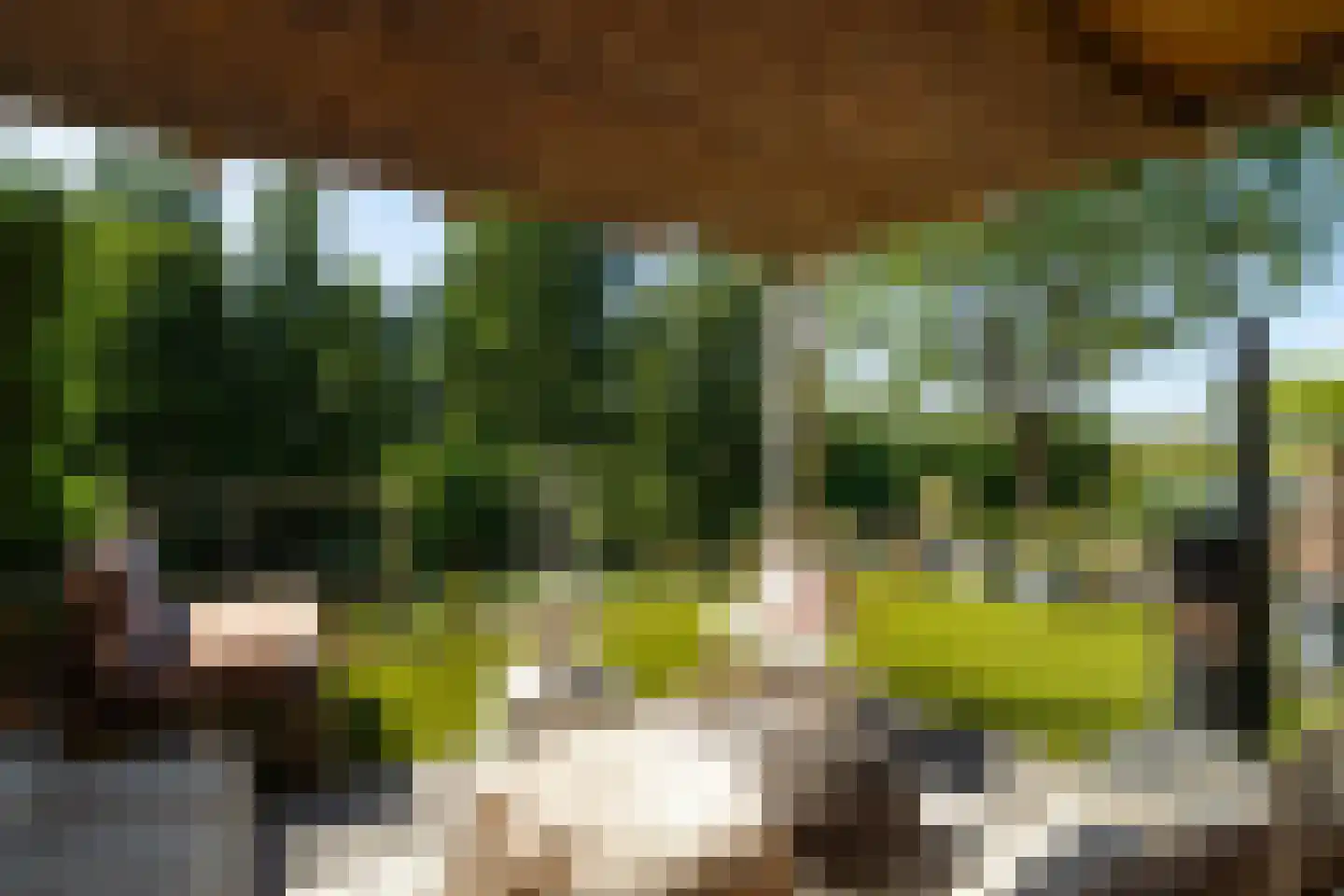Mostheuvelstraat 87 Tilburg thumbnail 23