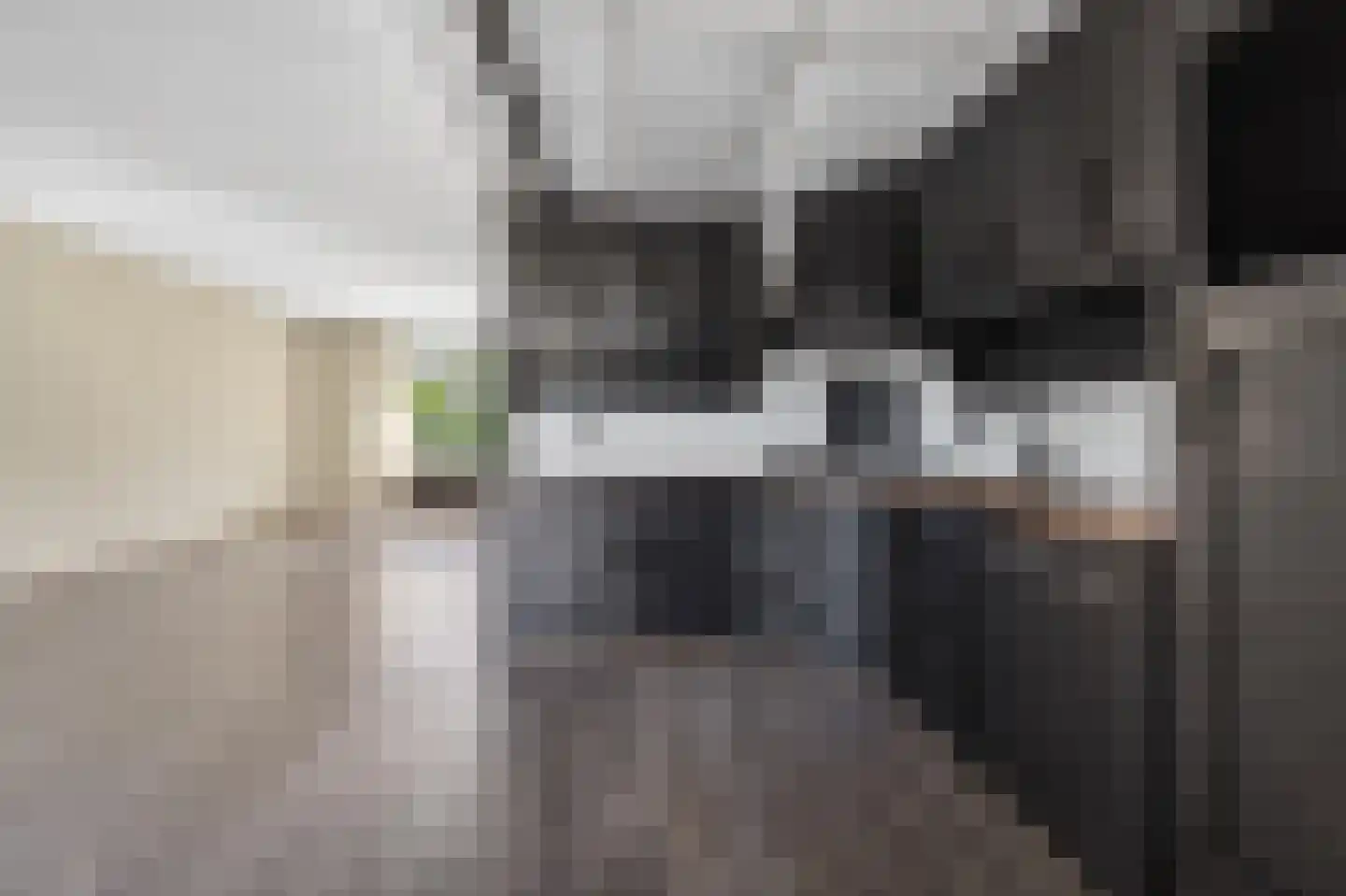Mosveen 16 Zwartemeer thumbnail 12