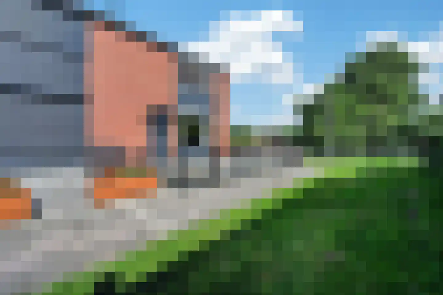 Mosveen 16 Zwartemeer thumbnail 36