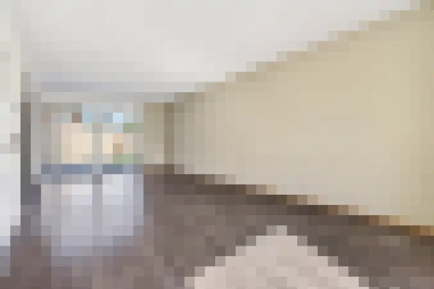 Mosveen 16 Zwartemeer thumbnail 9