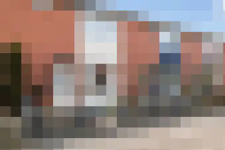 Mosveen 24 Zwartemeer