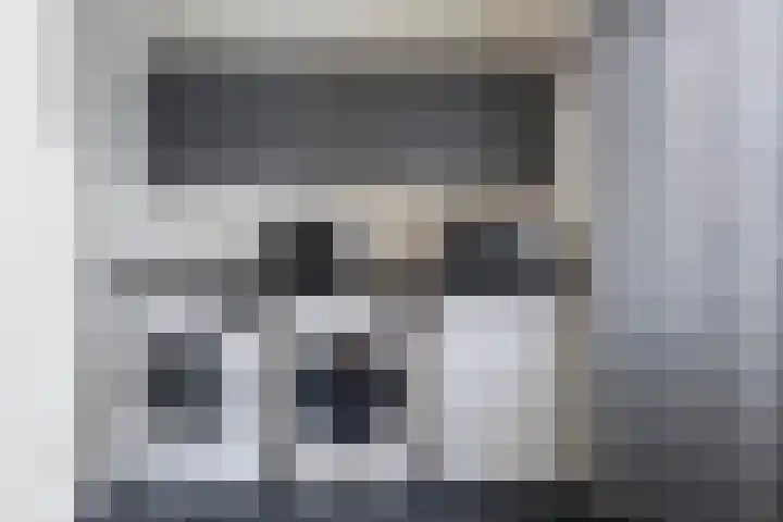 Mosveen 24 Zwartemeer thumbnail 10