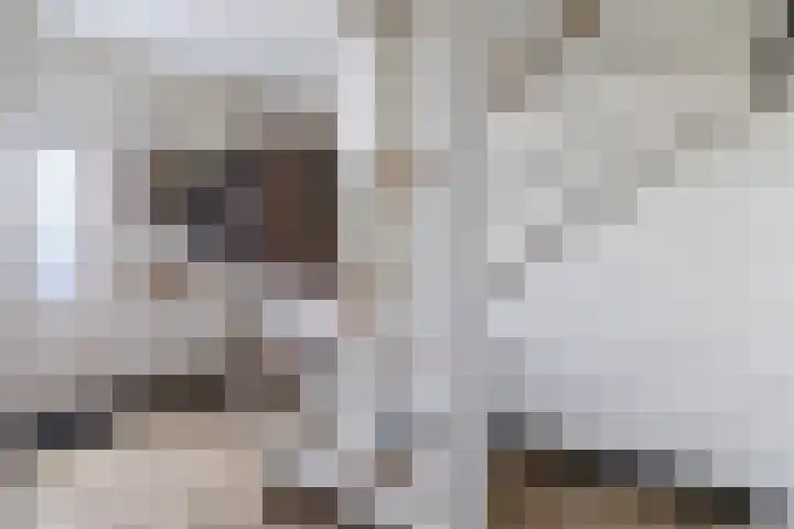 Mosveen 24 Zwartemeer thumbnail 12
