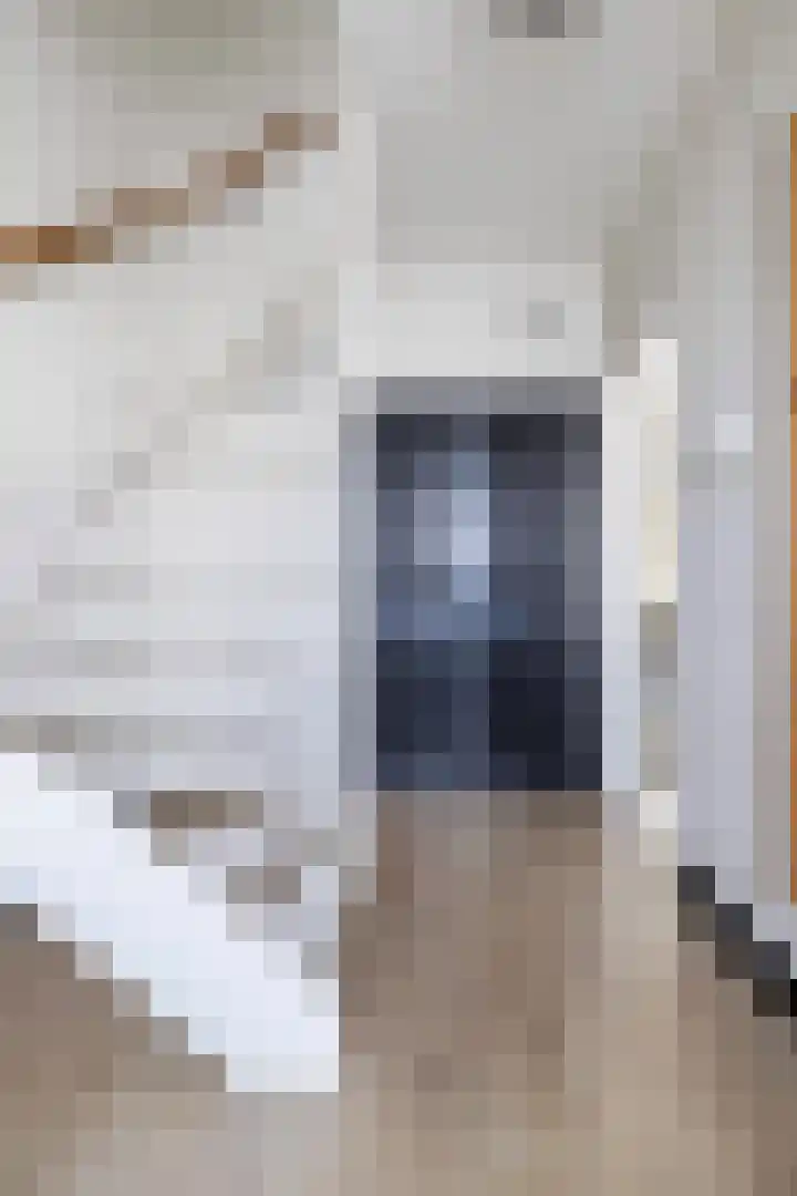 Mosveen 24 Zwartemeer thumbnail 13