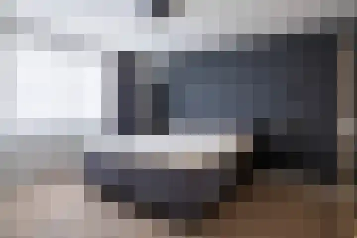 Mosveen 24 Zwartemeer thumbnail 16