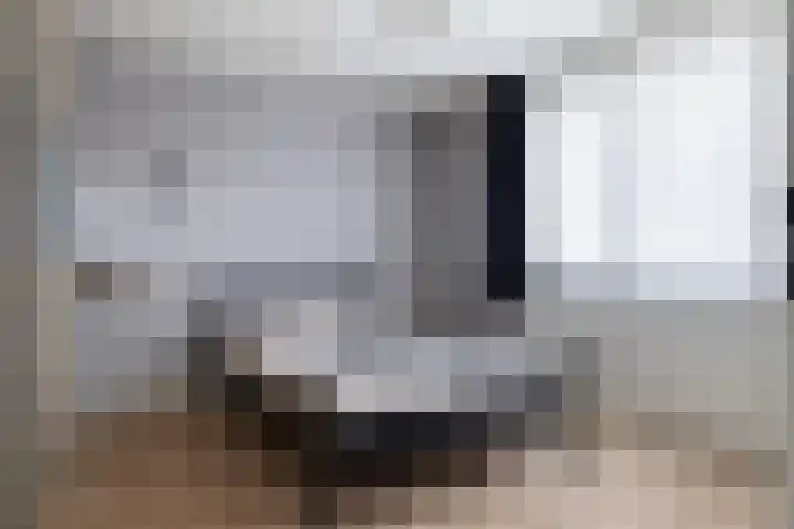 Mosveen 24 Zwartemeer thumbnail 18