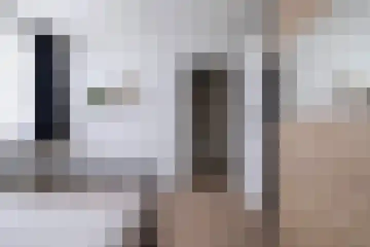 Mosveen 24 Zwartemeer thumbnail 19