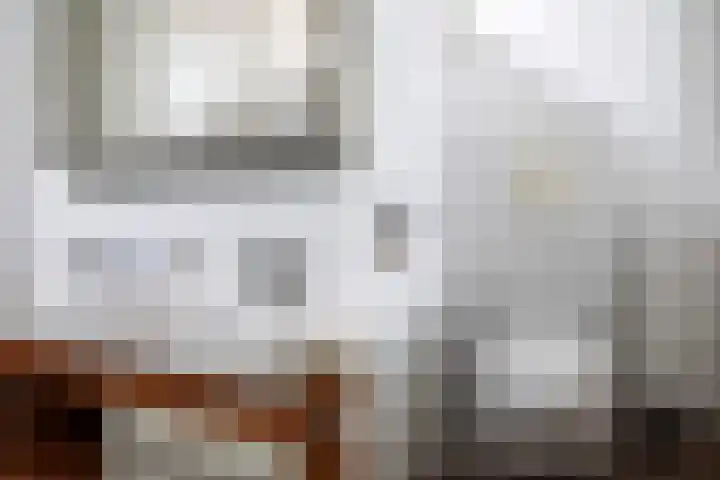 Mosveen 24 Zwartemeer thumbnail 24