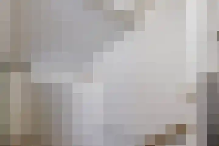 Mosveen 24 Zwartemeer thumbnail 27
