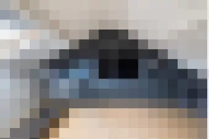 Mosveen 24 Zwartemeer thumbnail 28