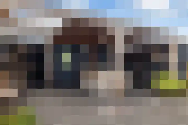 Mosveen 24 Zwartemeer thumbnail 30