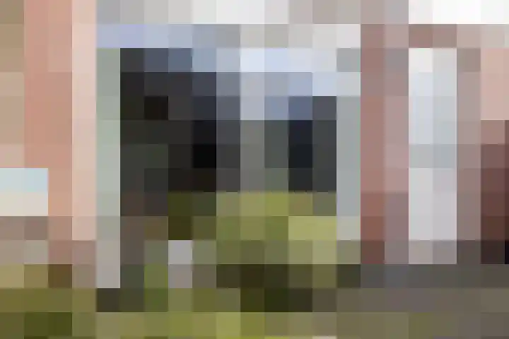 Mosveen 24 Zwartemeer thumbnail 33