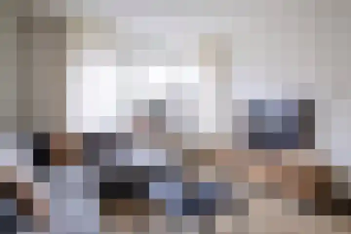 Mosveen 24 Zwartemeer thumbnail 4