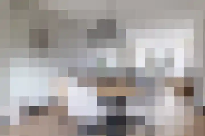 Mosveen 24 Zwartemeer thumbnail 5