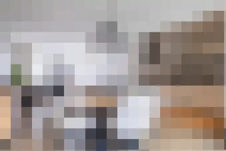Mosveen 24 Zwartemeer thumbnail 6
