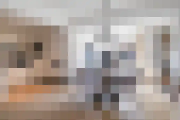 Mosveen 24 Zwartemeer thumbnail 7