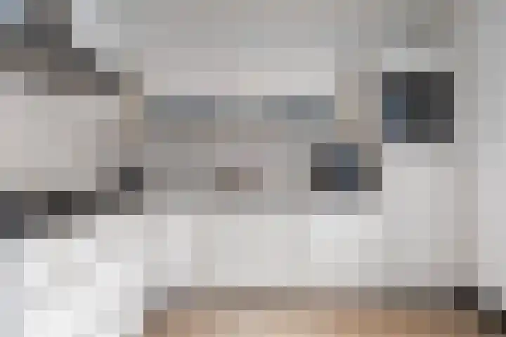 Mosveen 24 Zwartemeer thumbnail 9